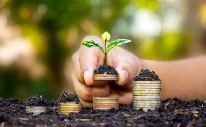 Balancing-profits-sustainability